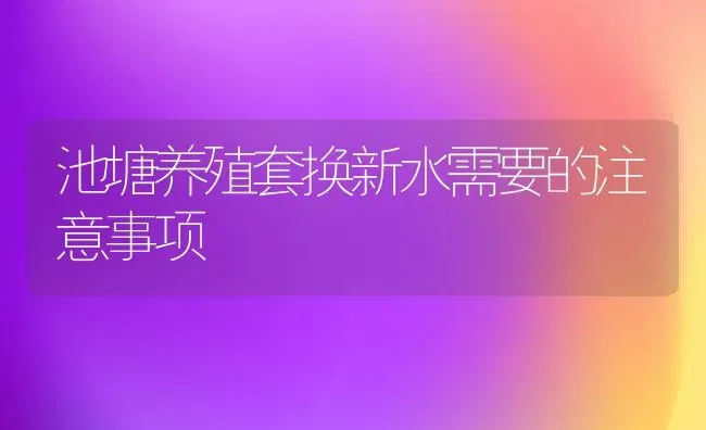 池塘养殖套换新水需要的注意事项 | 养殖知识