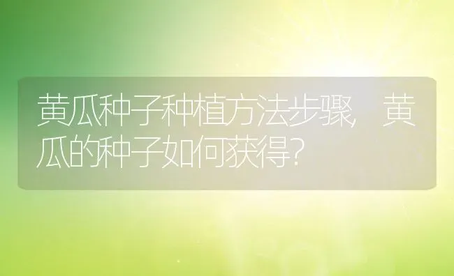 黄瓜种子种植方法步骤,黄瓜的种子如何获得？ | 养殖科普