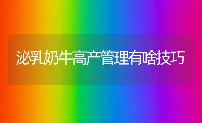 泌乳奶牛高产管理有啥技巧 | 养殖技术大全