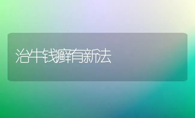 治牛钱癣有新法 | 养殖知识