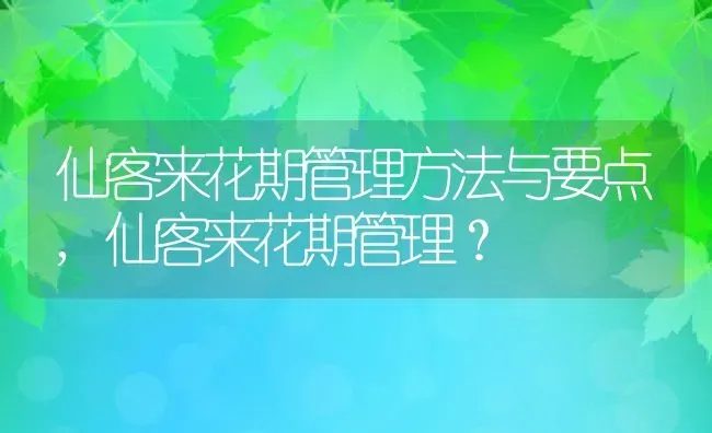 仙客来花期管理方法与要点,仙客来花期管理？ | 养殖科普