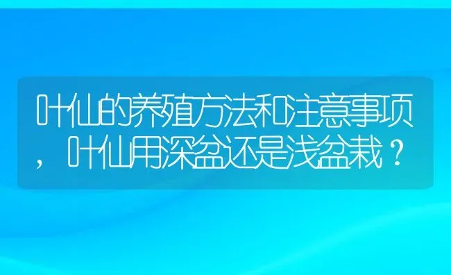 叶仙的养殖方法和注意事项,叶仙用深盆还是浅盆栽？ | 养殖科普