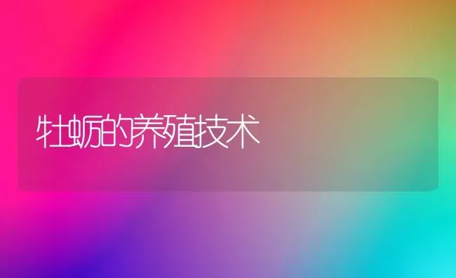 牡蛎的养殖技术 | 养殖知识