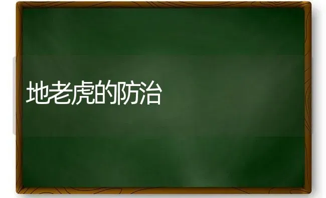 地老虎的防治 | 养殖技术大全