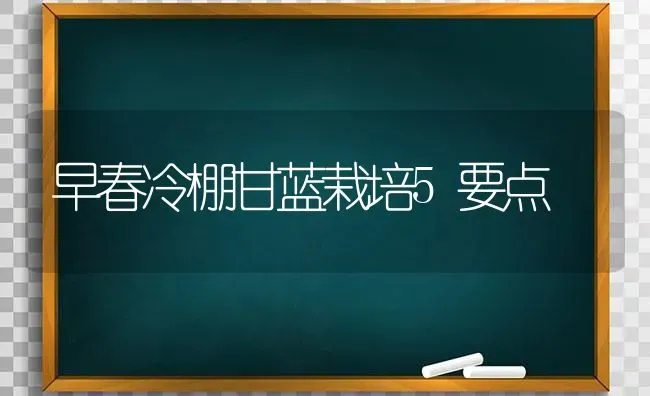 早春冷棚甘蓝栽培5要点 | 养殖技术大全