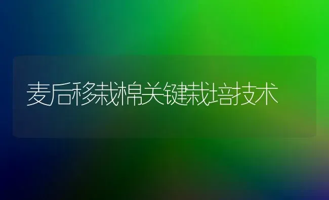 麦后移栽棉关键栽培技术 | 养殖知识