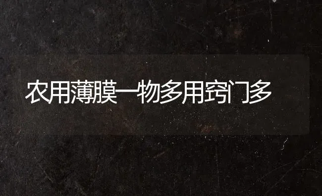 农用薄膜一物多用窍门多 | 养殖技术大全