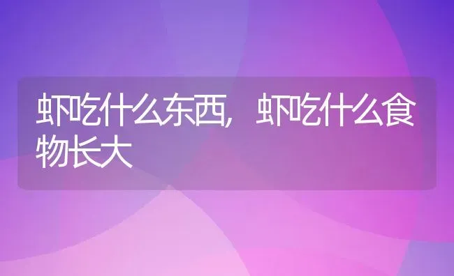 虾吃什么东西,虾吃什么食物长大 | 养殖资料