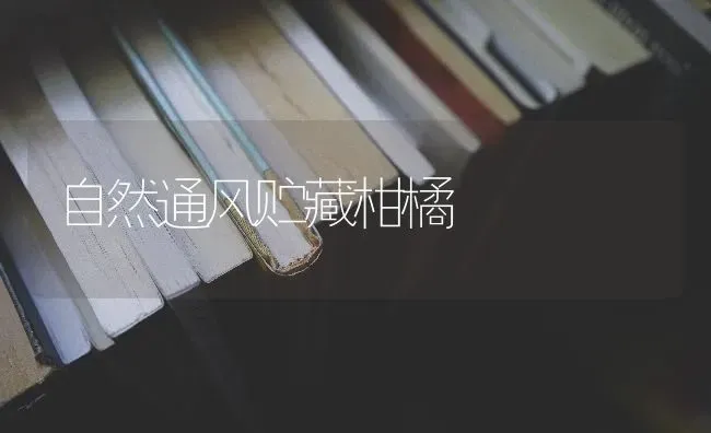 自然通风贮藏柑橘 | 养殖知识