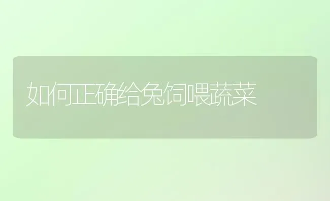 农户小型尿素氨化技术 | 养殖技术大全