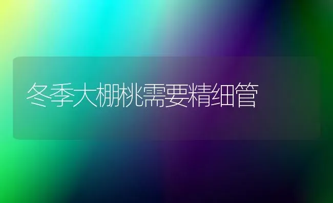 冬季大棚桃需要精细管 | 养殖技术大全