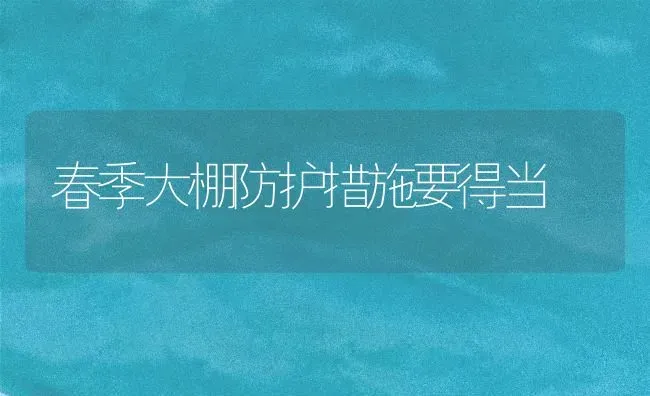 春季大棚防护措施要得当 | 养殖技术大全