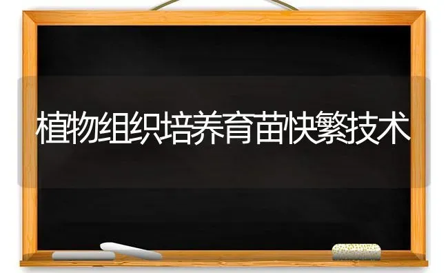 植物组织培养育苗快繁技术 | 养殖技术大全