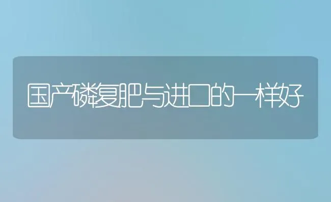国产磷复肥与进口的一样好 | 养殖技术大全