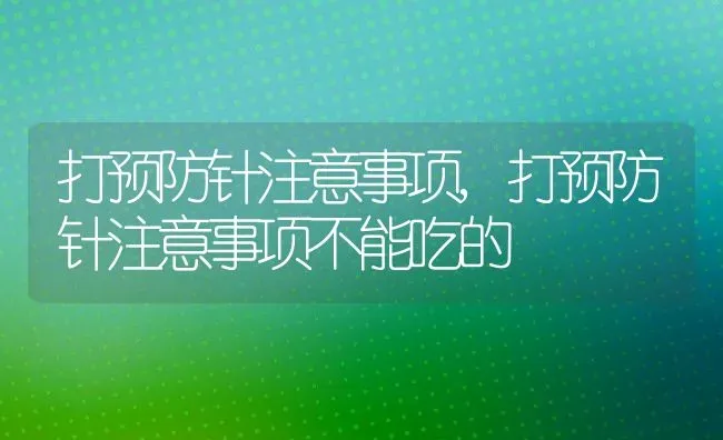 打预防针注意事项,打预防针注意事项不能吃的 | 养殖科普