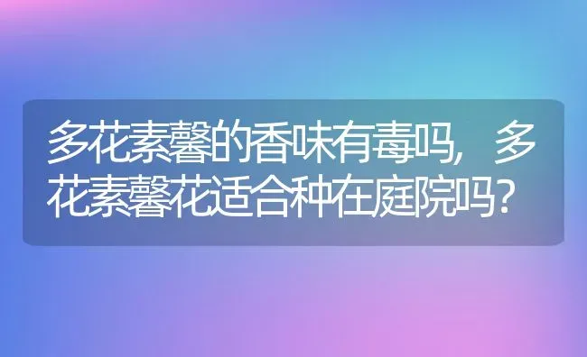 多花素馨的香味有毒吗,多花素馨花适合种在庭院吗？ | 养殖科普
