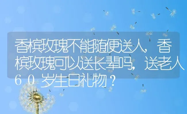 香槟玫瑰不能随便送人,香槟玫瑰可以送长辈吗，送老人60岁生日礼物？ | 养殖学堂