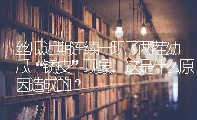 丝瓜近期连续出现了两茬幼瓜“锈皮”现象,这是什么原因造成的? | 养殖技术大全