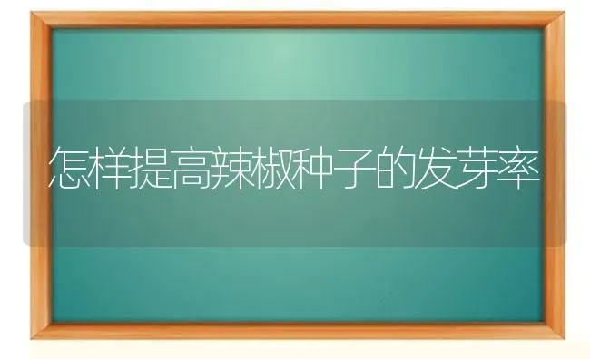 怎样提高辣椒种子的发芽率 | 养殖知识