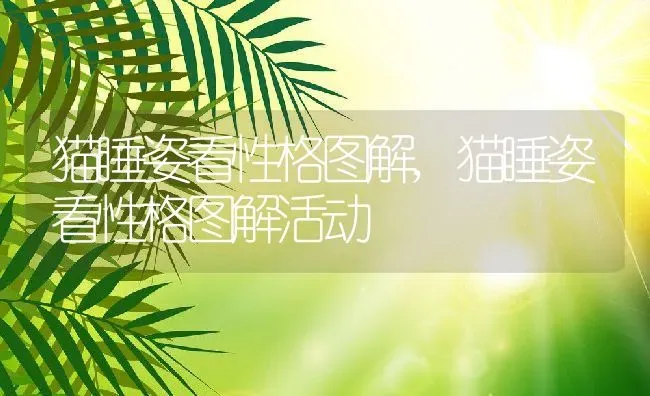 猫睡姿看性格图解,猫睡姿看性格图解活动 | 养殖科普