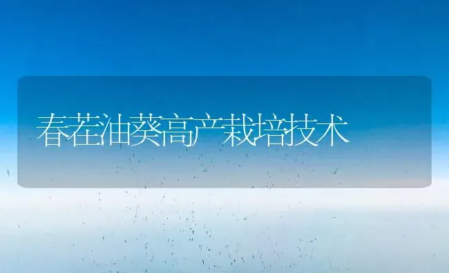 春茬油葵高产栽培技术 | 养殖技术大全