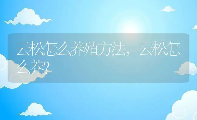 云松怎么养殖方法,云松怎么养？ | 养殖科普