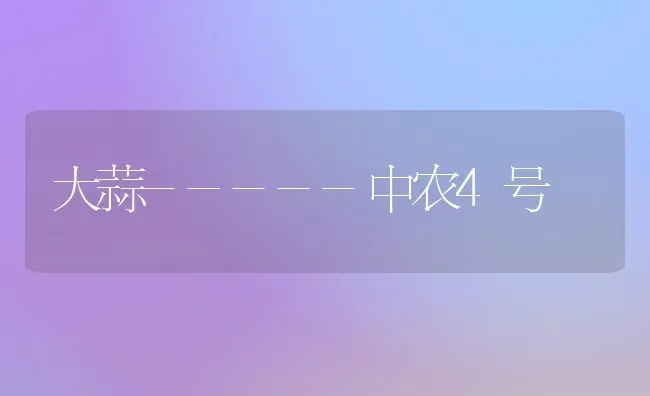 大蒜-----中农4号 | 养殖知识