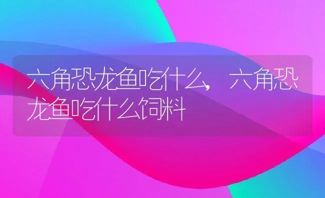 六角恐龙鱼吃什么,六角恐龙鱼吃什么饲料 | 养殖科普