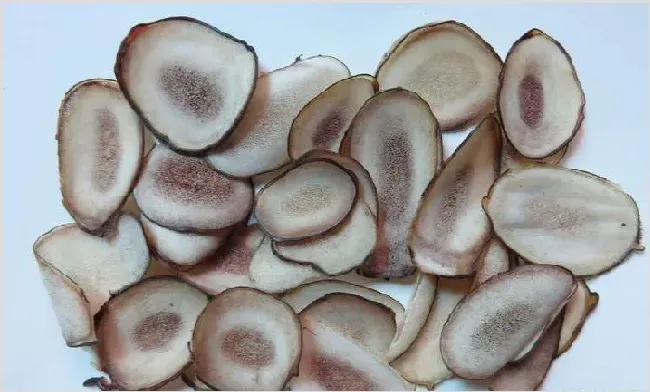 鹿茸怎么吃效果比较好 | 生活妙招