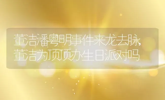 董洁潘粤明事件来龙去脉,董洁为顶顶办生日派对吗 | 养殖学堂