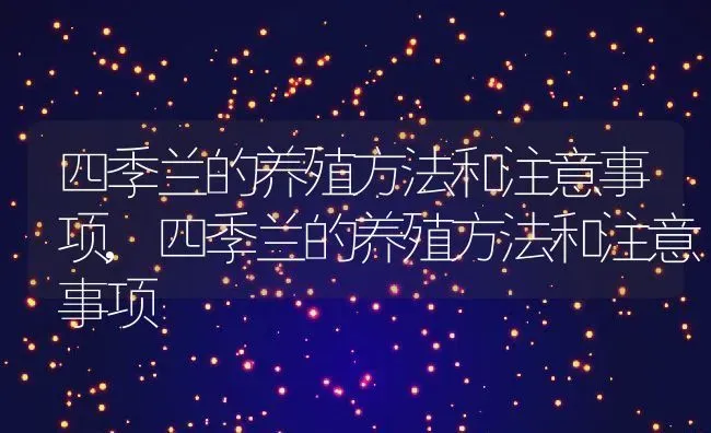 四季兰的养殖方法和注意事项,四季兰的养殖方法和注意事项 | 养殖科普