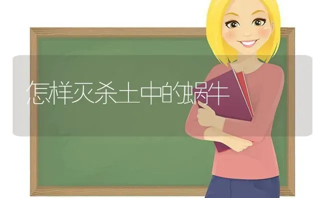 怎样灭杀土中的蜗牛 | 养殖知识