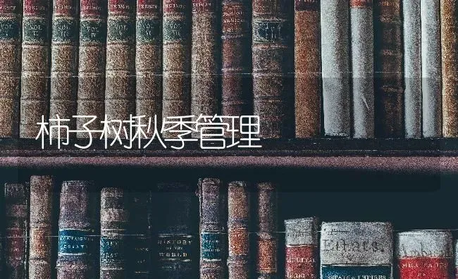 柿子树秋季管理 | 养殖技术大全