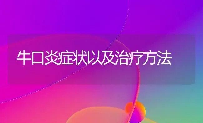 牛口炎症状以及治疗方法 | 养殖技术大全