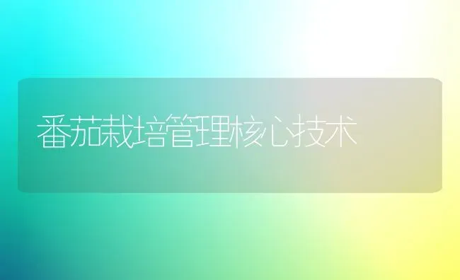 番茄栽培管理核心技术 | 养殖技术大全