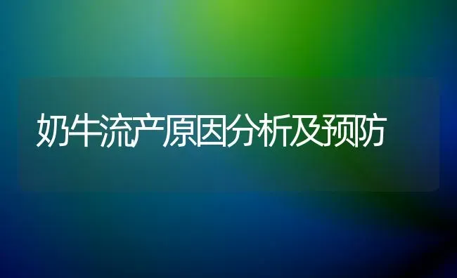 奶牛流产原因分析及预防 | 养殖知识