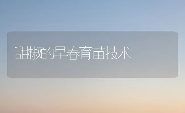 甜椒的早春育苗技术 | 养殖技术大全
