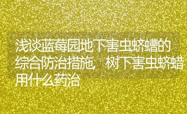 浅谈蓝莓园地下害虫蛴螬的综合防治措施,树下害虫蛴蜡用什么药治 | 养殖学堂