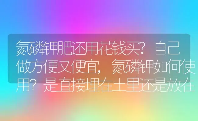 氮磷钾肥还用花钱买?自己做方便又便宜,氮磷钾如何使用？是直接埋在土里还是放在水里融化？ | 养殖科普