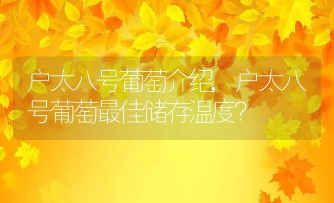 户太八号葡萄介绍,户太八号葡萄最佳储存温度？ | 养殖科普