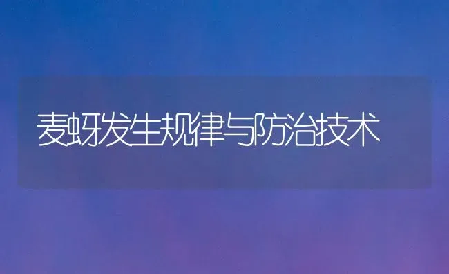 麦蚜发生规律与防治技术 | 养殖知识