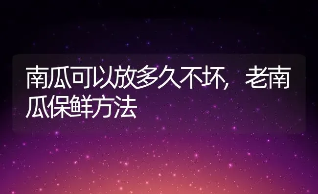 南瓜可以放多久不坏,老南瓜保鲜方法 | 养殖学堂