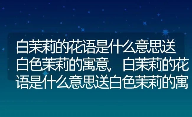 白茉莉的花语是什么意思送白色茉莉的寓意,白茉莉的花语是什么意思送白色茉莉的寓意 | 养殖科普