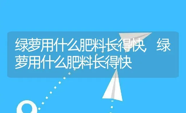 绿萝用什么肥料长得快,绿萝用什么肥料长得快 | 养殖科普