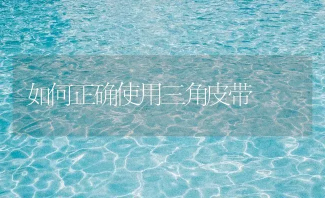 如何正确使用三角皮带 | 养殖技术大全