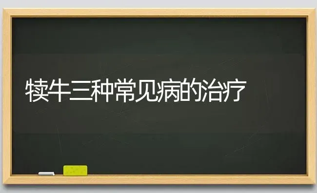 犊牛三种常见病的治疗 | 养殖知识