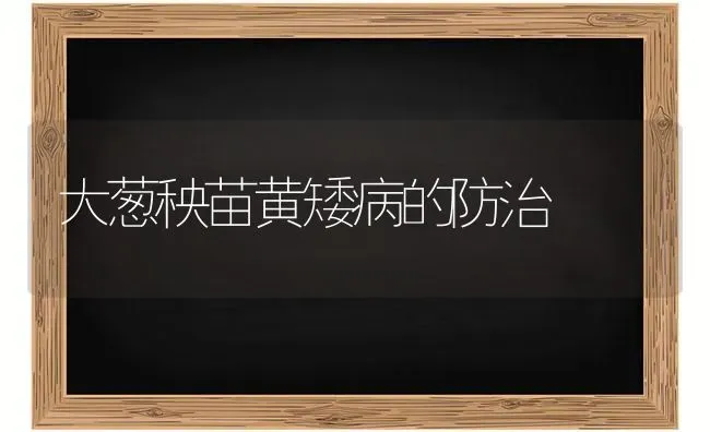 大葱秧苗黄矮病的防治 | 养殖技术大全