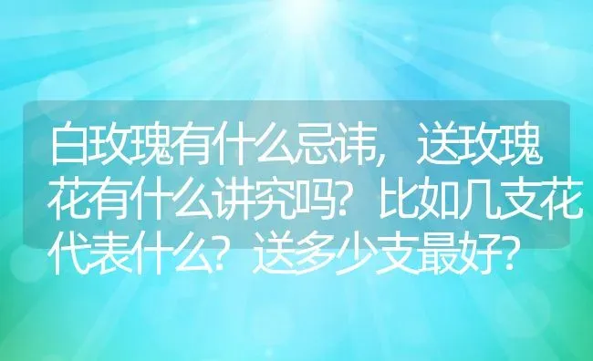 白玫瑰有什么忌讳,送玫瑰花有什么讲究吗?比如几支花代表什么?送多少支最好？ | 养殖学堂