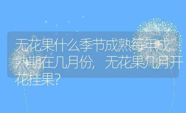 无花果什么季节成熟每年成熟期在几月份,无花果几月开花挂果？ | 养殖科普