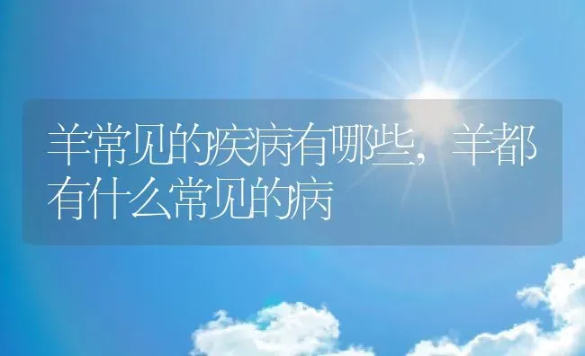 羊常见的疾病有哪些,羊都有什么常见的病 | 养殖学堂